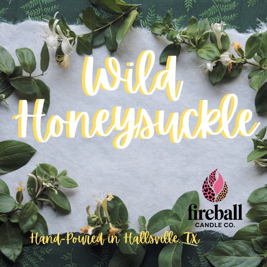 Wild Honeysuckle